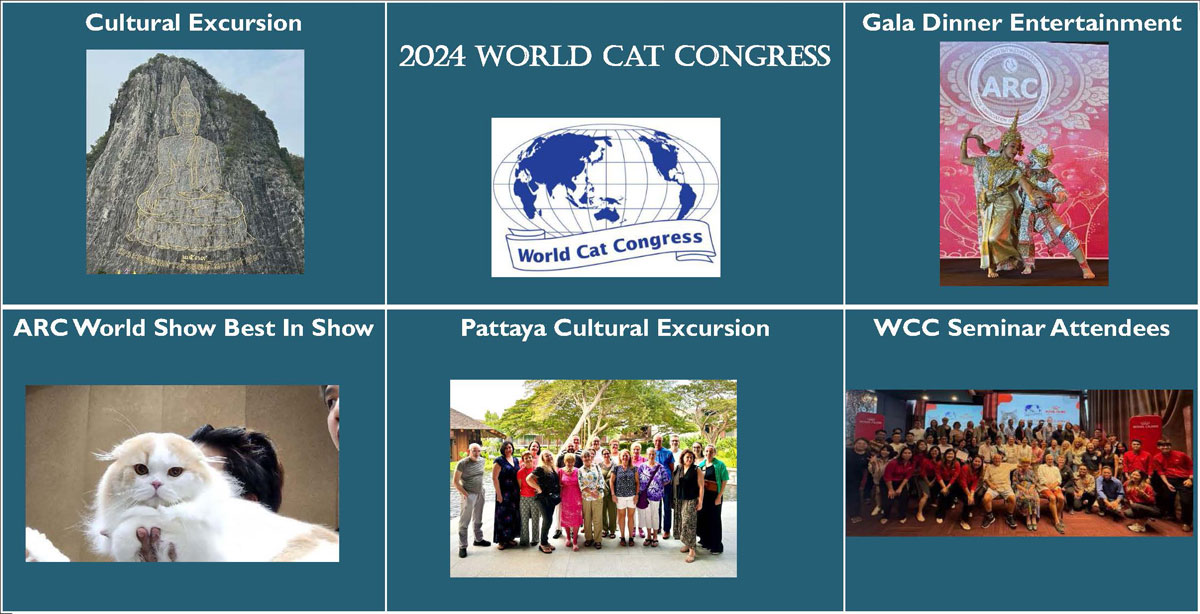 Highlights of the WCC Annual Meeting 2024